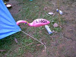 Lissa the Pink Flamingo